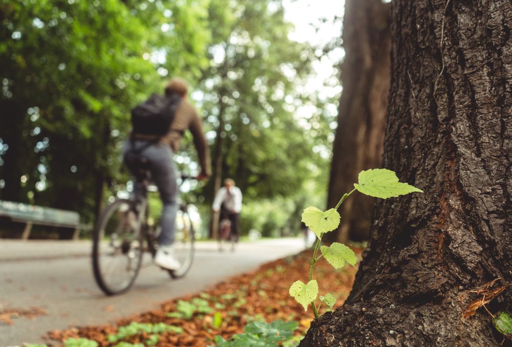 velo dordogne