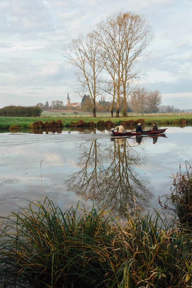 un marais en normandie